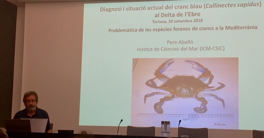 Agricultura anuncia la creacin de un Comit de Cogestin de la pesca del cangrejo azul | EbreActiu.cat, revista digital de ocio activo | Terres de l’Ebre...