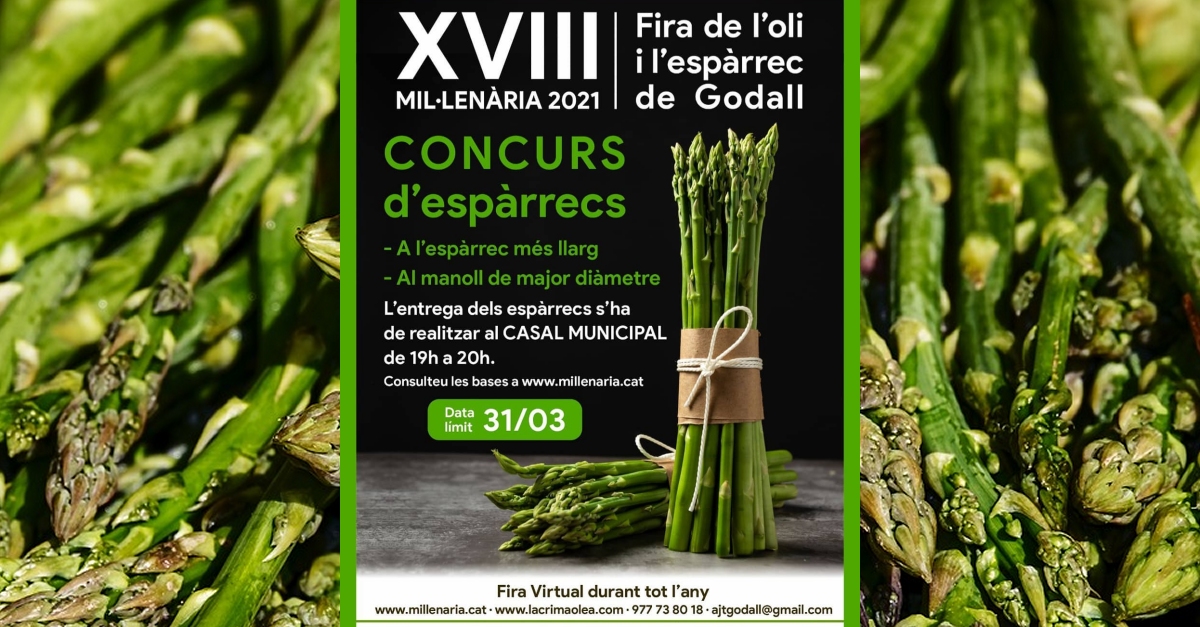 Concurs d’espàrrecs. XVIII Fira de l’oli i l’espàrrec de Godall Concurs d’espàrrecs. XVIII Fira de l’oli i l’espàrrec de Godall