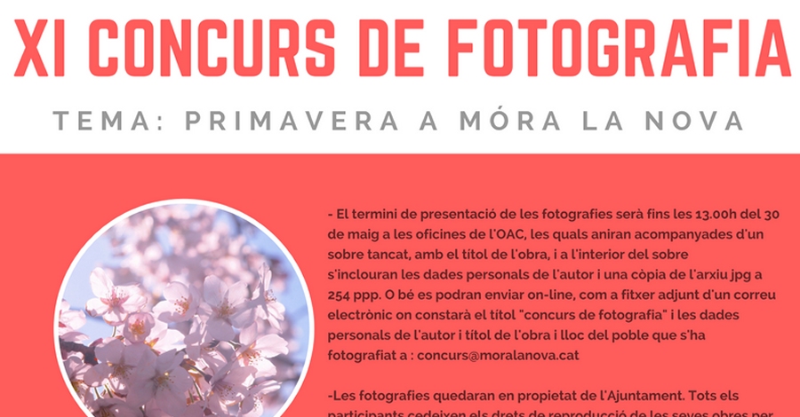XI Concurs de fotografia: �Primavera a M�ra la Nova�
