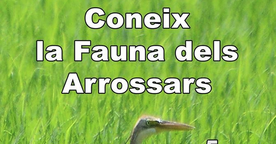 Conoce la fauna de los arrozales