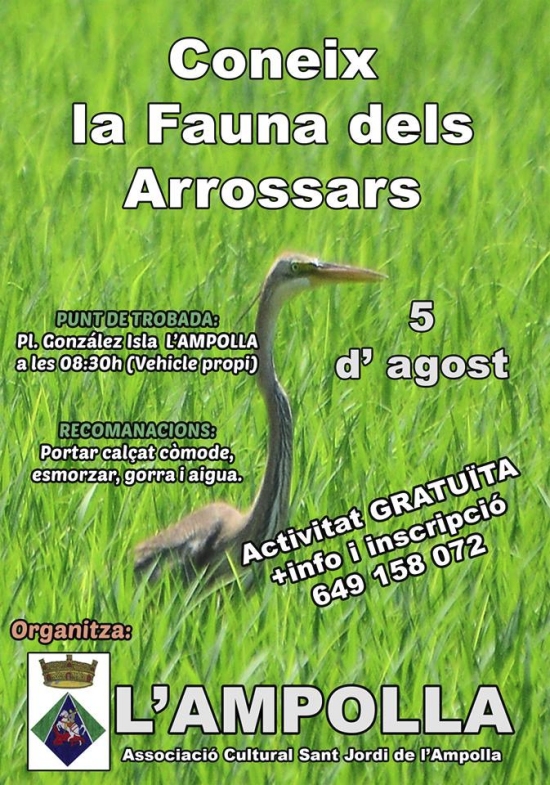Coneix la fauna dels arrossars Coneix la fauna dels arrossars