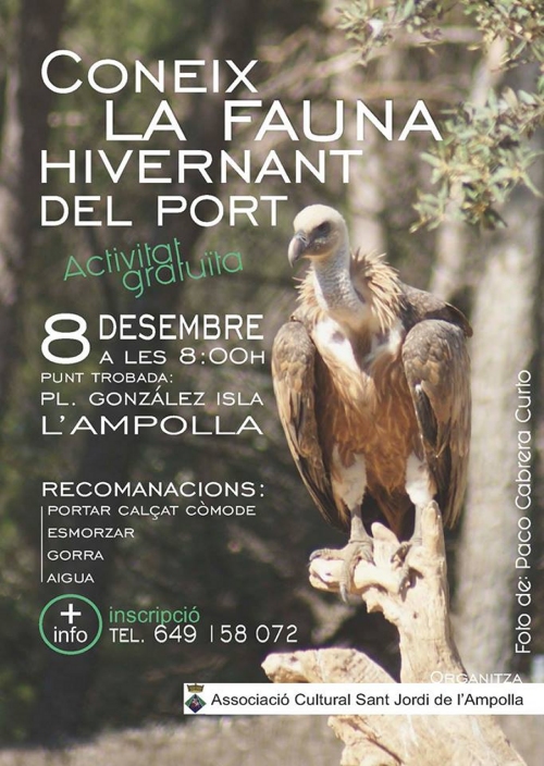 Coneix la fauna hivernant del Port Coneix la fauna hivernant del Port