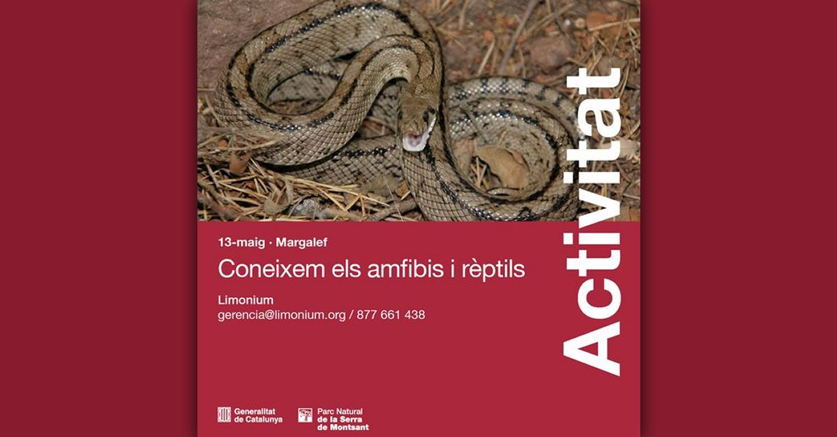 Coneixem els amfibis i r�ptils