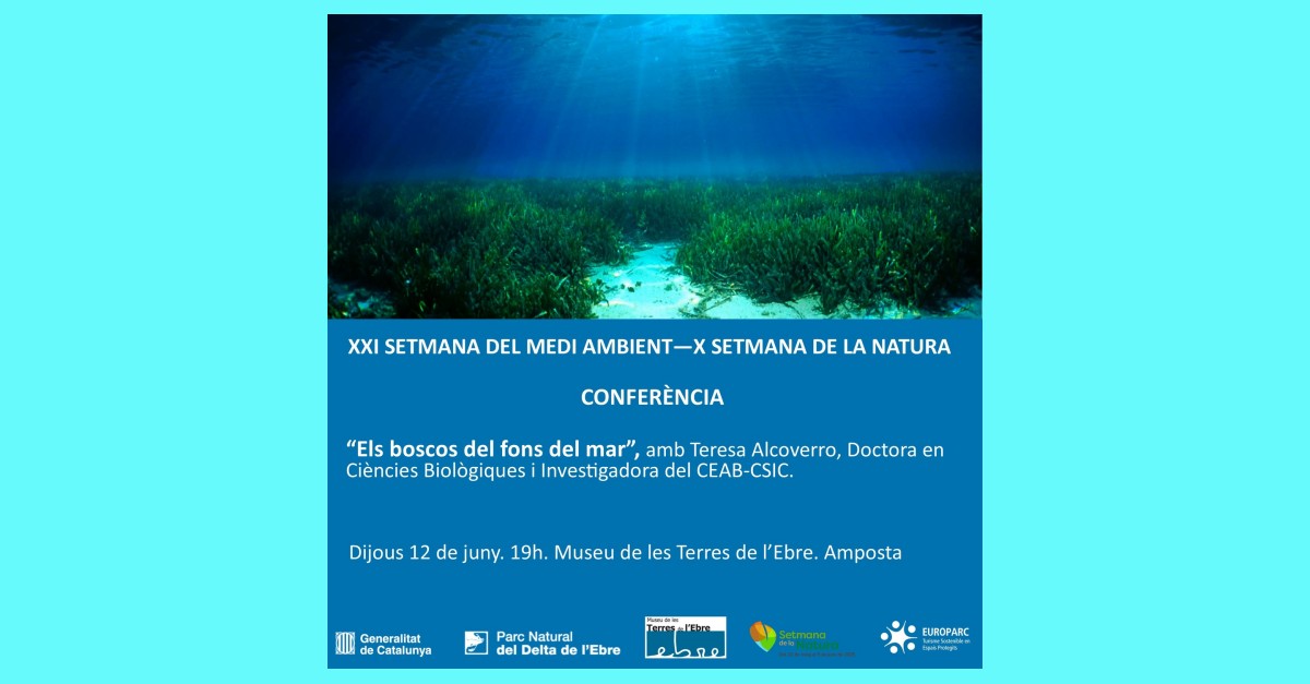 Conferència: Els boscos del fons del mar Conferència: Els boscos del fons del mar