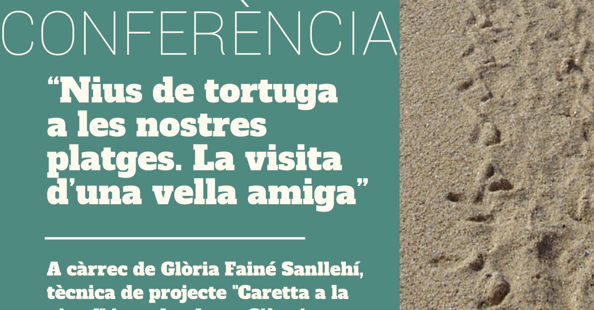 Conferencia: Nius de tortugues a les nostres platges. La visita d�una vella amiga