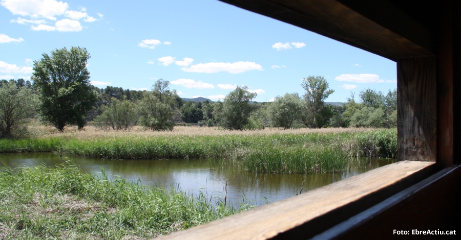 El conseller de Territori i Sostenibilitat visita la Reserva Natural de Sebes | EbreActiu.cat, revista digital d&rsquo;oci actiu | Terres de l&rsquo;Ebre ...