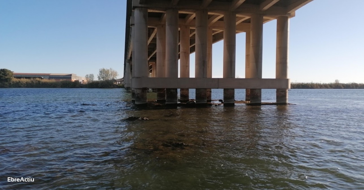 Conservacionistes alleguen que el pla pel delta de l’Ebre no pot desvincular accions a la costa de cabals i sediments
