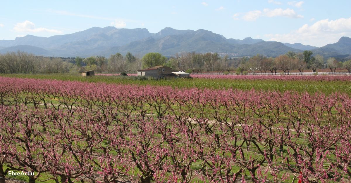 Constituda la taula intersectorial per definir la promoci de la marca Terres de l’Ebre Reserva de la Biosfera | EbreActiu.cat, revista digital d’oci actiu | Terres de l’Ebre ...