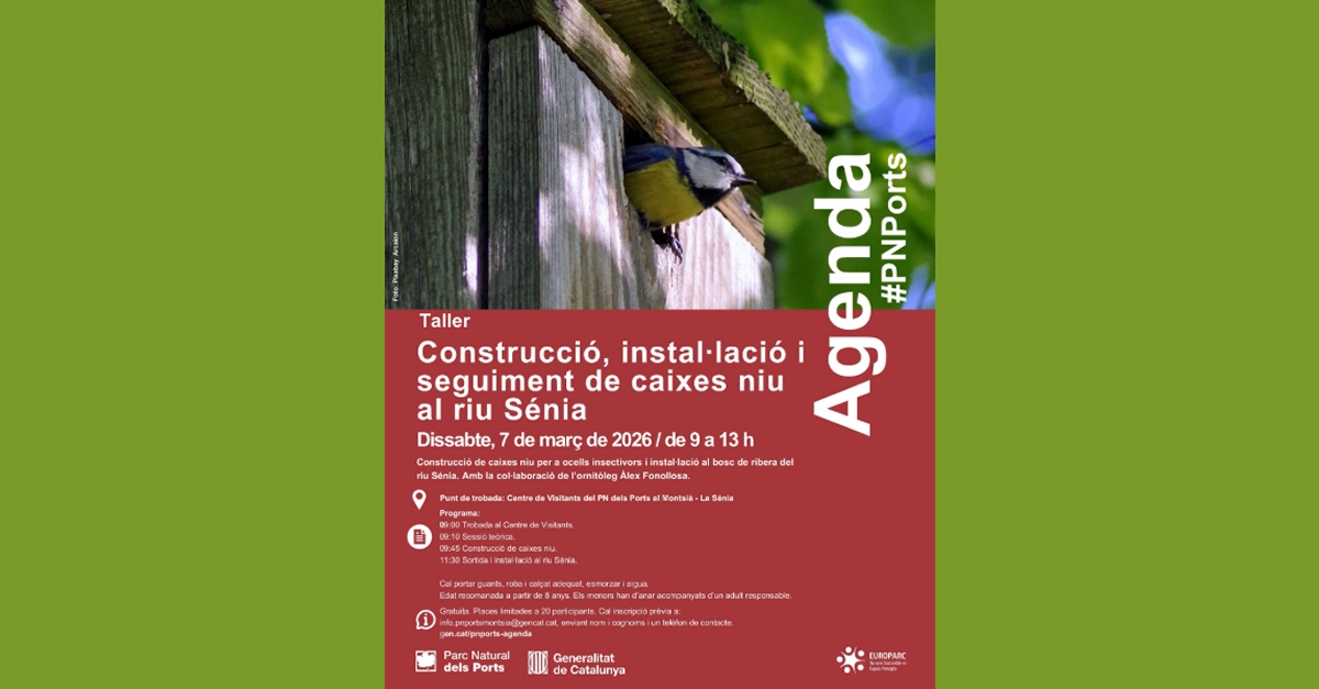 Taller de construcci�n, instalaci�n y seguimiento de cajas nido en el r�o Senia