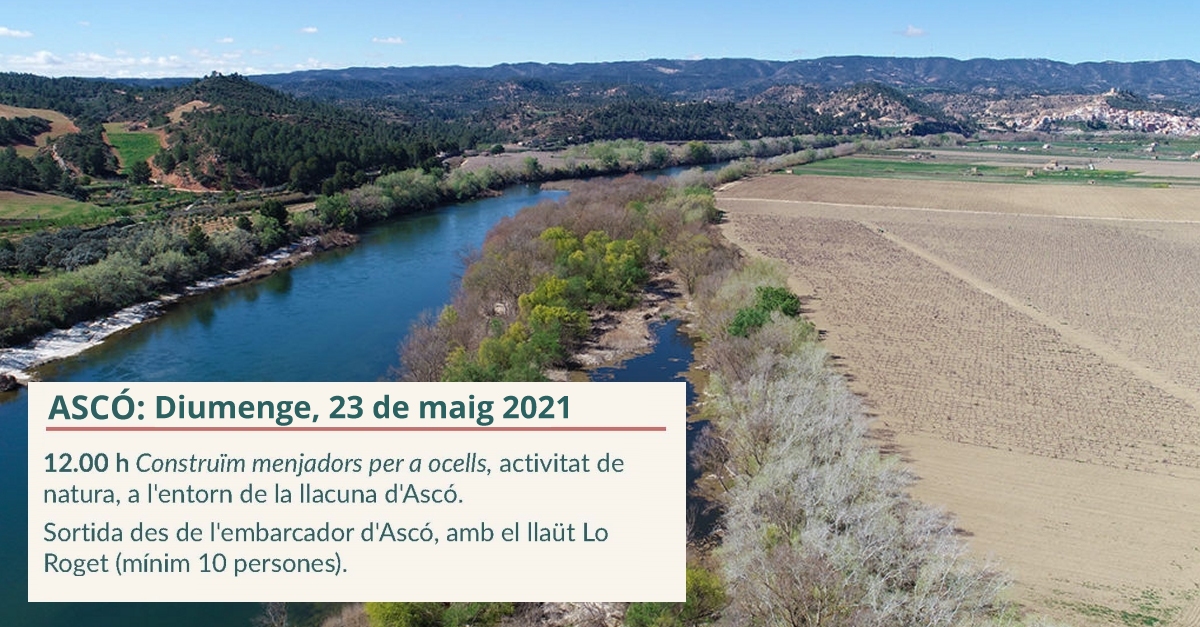Activitat de naturaleza: Construcciones de comederos para p�jaros en el entorno de la laguna de Asc�