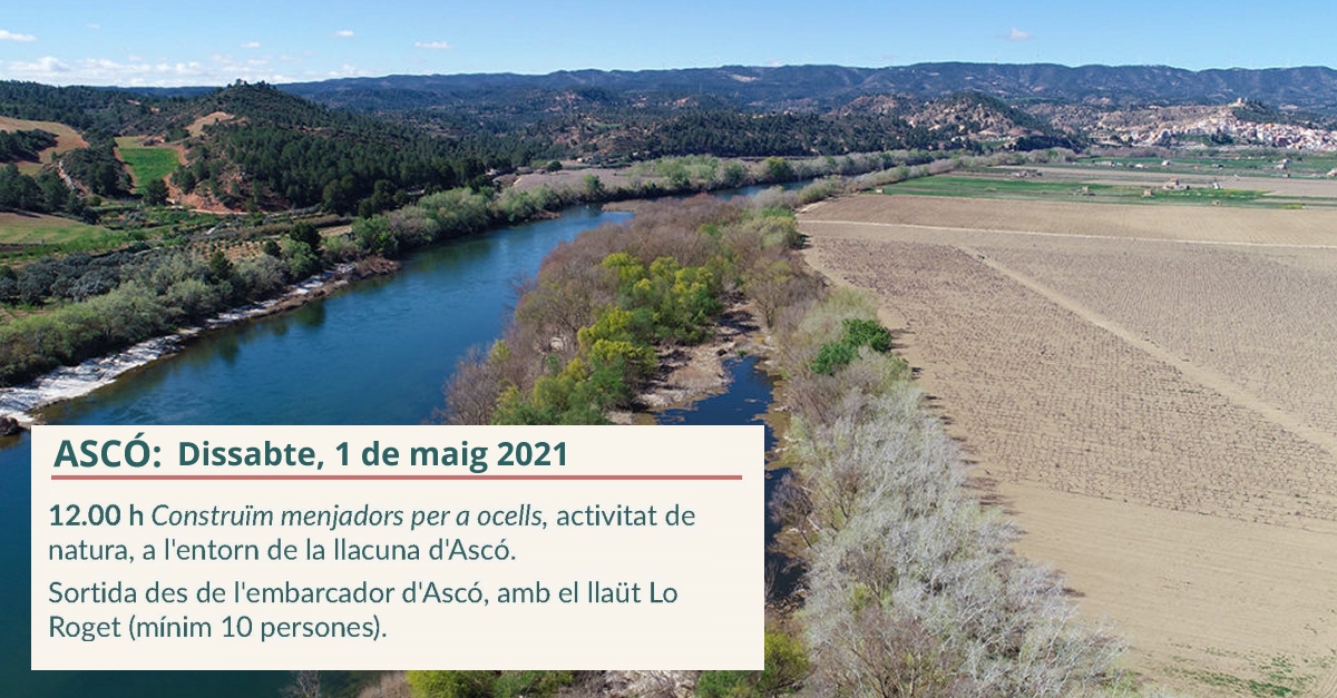 Activitat de natura: Construïm menjadors per a ocells a l’entorn de la llacuna d’Ascó Activitat de natura: Construïm menjadors per a ocells a l’entorn de la llacuna d’Ascó