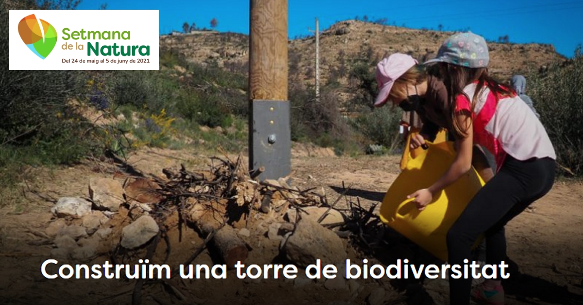 Jornada de voluntariado: Construcci�n de una torre de biodiversidad - #SetmanaNatura2021