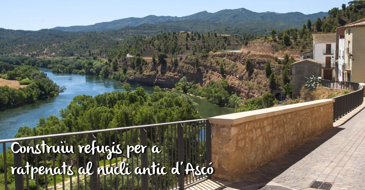 Construïu refugis per a ratpenats al nucli antic d’Ascó Construïu refugis per a ratpenats al nucli antic d’Ascó