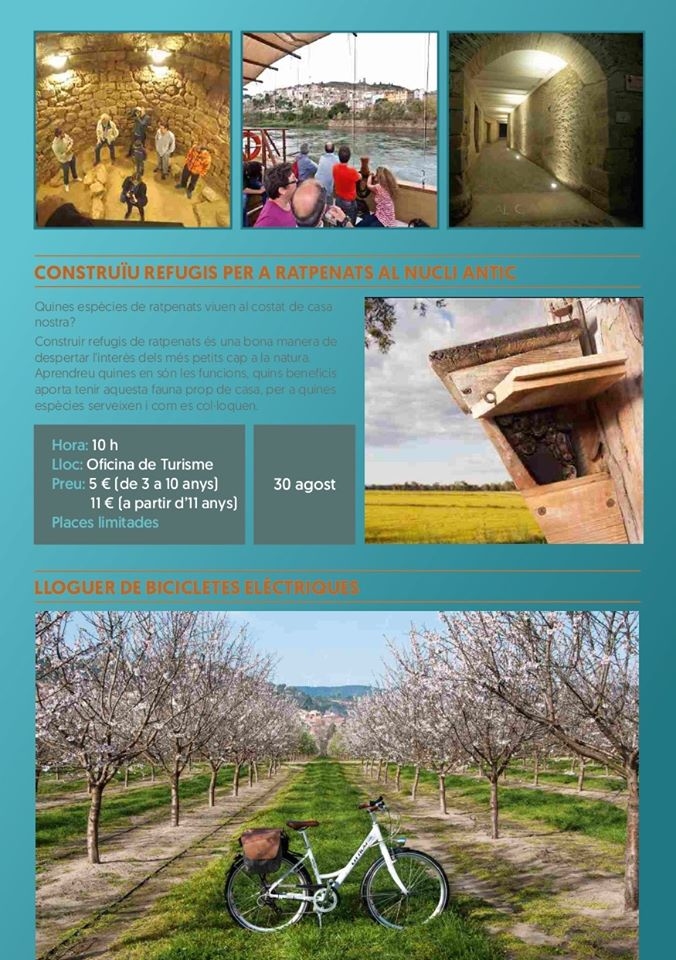 Constru�u refugis per a ratpenats al nucli antic d�Asc�