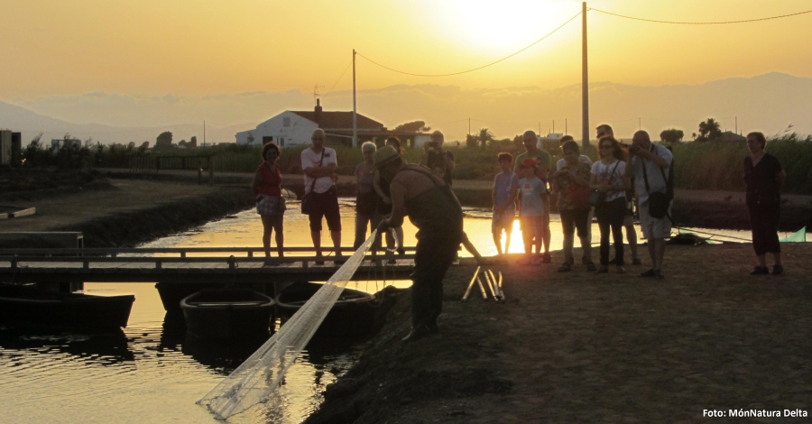 M�nNatura Delta posa en marxa una visita per descobrir el Delta quan es pon el sol