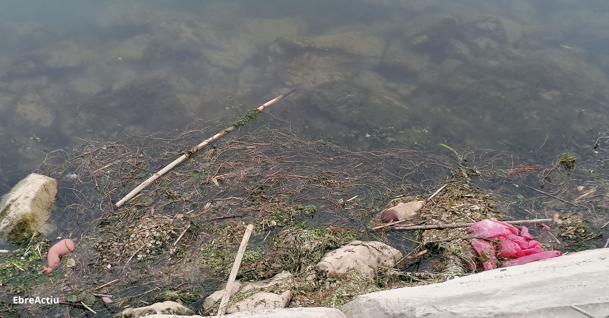 Convertim el Montsi en la comarca ms neta amb la iniciativa Montsi Clean Up Challenge