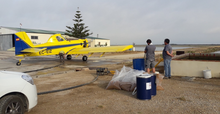 Subvenci de 850.000 euros per al control de les plagues del mosquit tigre i la mosca negra