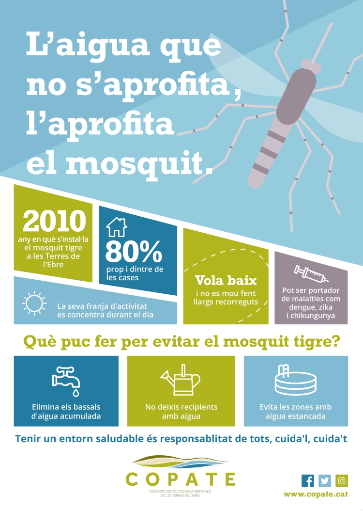 El COPATE impulsa una campanya de prevenció del mosquit tigre | EbreActiu.cat, revista digital d’oci actiu | Terres de l’Ebre ... El COPATE impulsa una campanya de prevenció del mosquit tigre | EbreActiu.cat, revista digital d’oci actiu | Terres de l’Ebre ...
