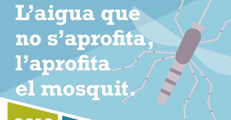 El COPATE impulsa una campanya de prevenci del mosquit tigre