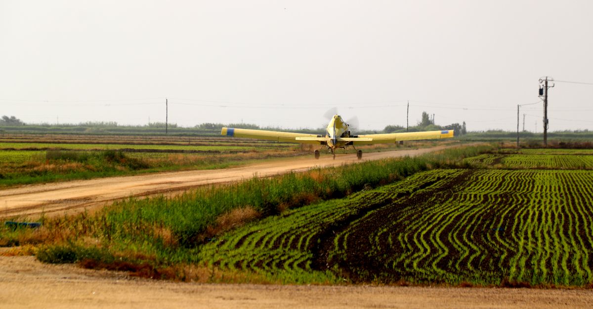 El COPATE inicia la campanya de tractament contra els mosquits adults en els espais naturals del delta de lEbre