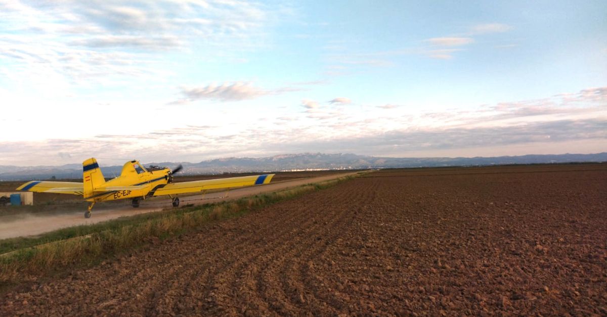 EL COPATE inicia els tractaments contra els mosquits en espais naturals del delta de l’Ebre