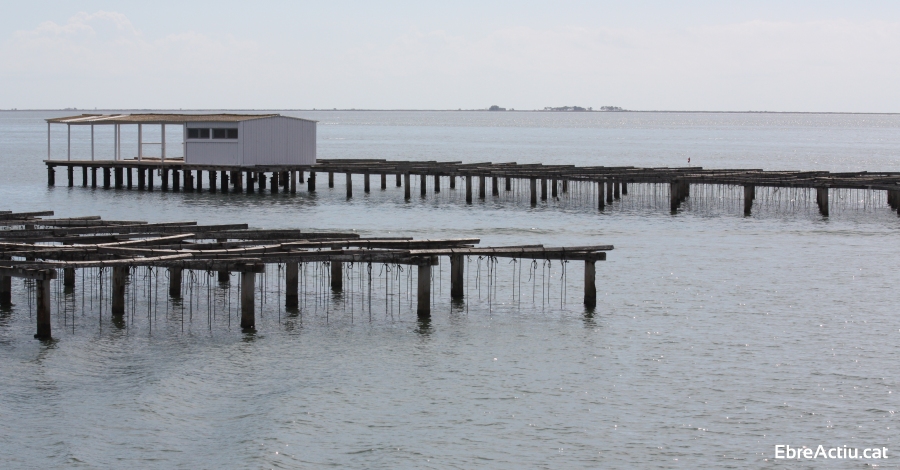 La Reserva de la Biosfera Terres de l’Ebre presenta el projecte Life Clinomics al Congrs EuroMAB 2019, a Dubln  | EbreActiu.cat, revista digital d’oci actiu | Terres de l’Ebre ...