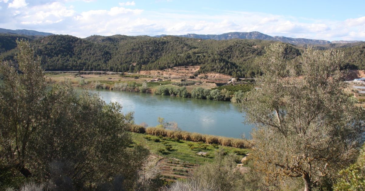 El rellanament de la Reserva de la Biosfera Terres de lEbre comenar al gener amb nou reglament i nou logotip