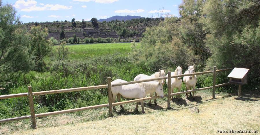 El COPATE inicia els trmits per ampliar la Reserva de la Biosfera a totes les Terres de l’Ebre