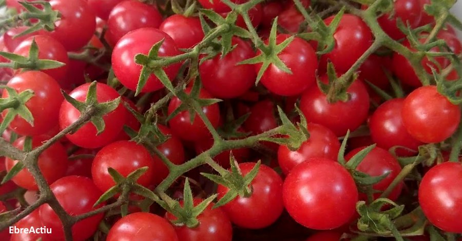 Durant l’any 2019 ha augmentat la producci i el consum de productes ecolgics