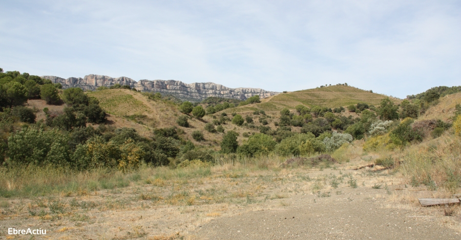 Crida a extremar les precaucions per l’elevat risc d’incendi previst per avui | EbreActiu.cat, revista digital d’oci actiu | Terres de l’Ebre ...