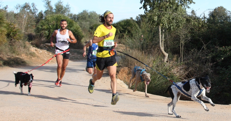 Muy buena participaci�n en el primer canicros de la temporada 2016/17 | EbreActiu.cat, revista digital de ocio activo | Terres de l&rsquo;Ebre...