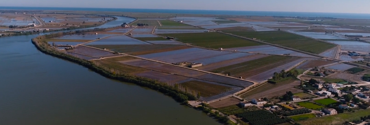 Creuers Olmos, creuers al Delta de l’Ebre | EbreActiu.cat, revista digital d’oci actiu | Terres de l’Ebre ... Creuers Olmos, creuers al Delta de l’Ebre | EbreActiu.cat, revista digital d’oci actiu | Terres de l’Ebre ...