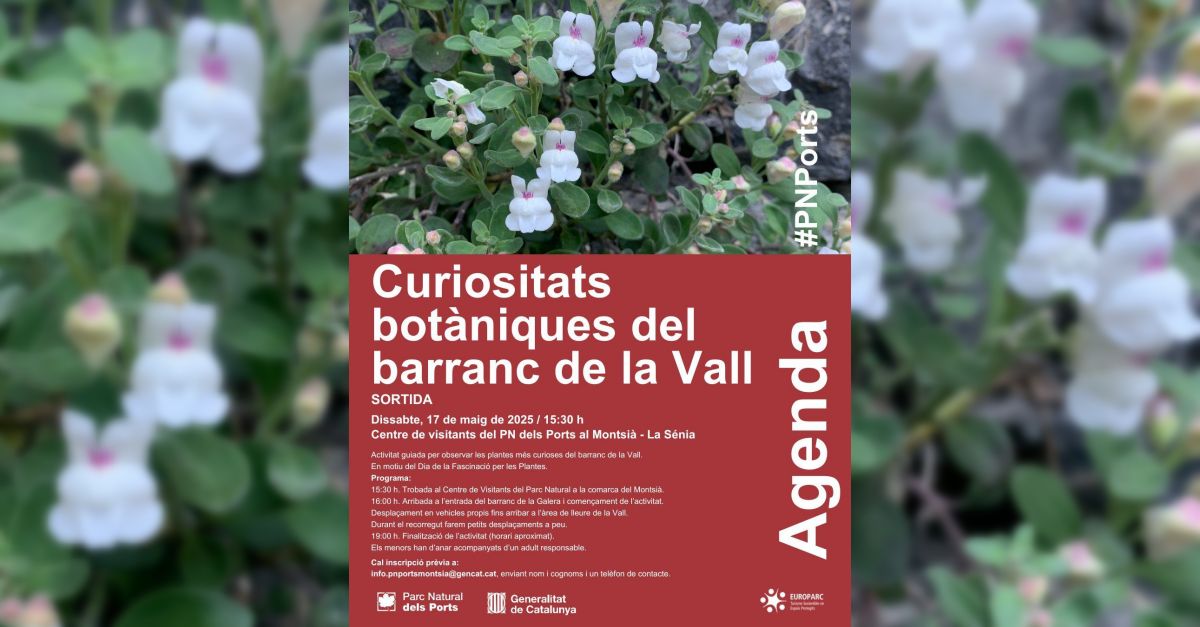 Sortida: curiositats botniques del barranc de la Vall