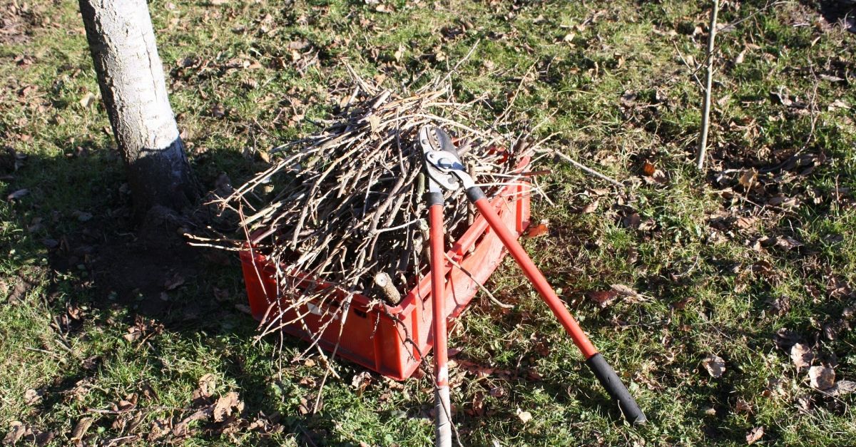 La Ribera dEbre impulsa un curs dauxiliar dagricultura per palliar la temporalitat de contractes al sector