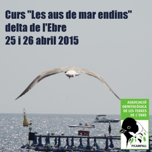 Curs �Les aus de mar endins�