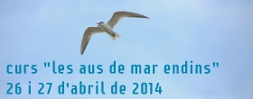 Curs �les aus de mar endins�