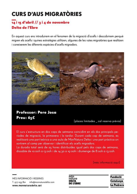 Curs d’aus migratòries Curs d’aus migratòries