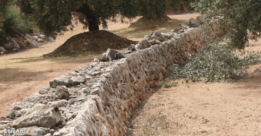 Riba-roja organitza un curs de construcci de marges en pedra seca | EbreActiu.cat, revista digital d’oci actiu | Terres de l’Ebre ...