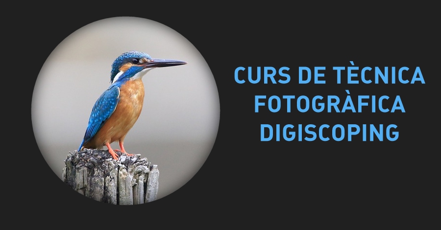 Curs: t�cnica digiscoping