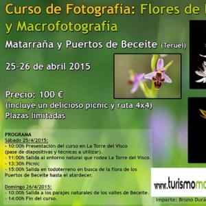 Taller fotogr�fic �flors de Primavera i macrofotografia�