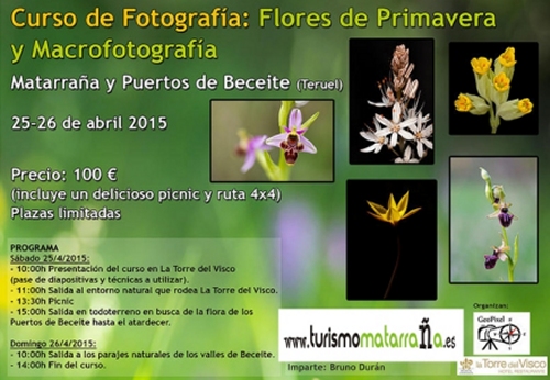 Taller fotogr�fic �flors de Primavera i macrofotografia�