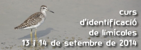 Curs de identificaci� de lim�coles