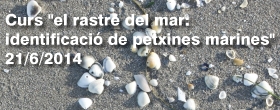 Curs �el rastre del mar: identificaci� de petxines marines�
