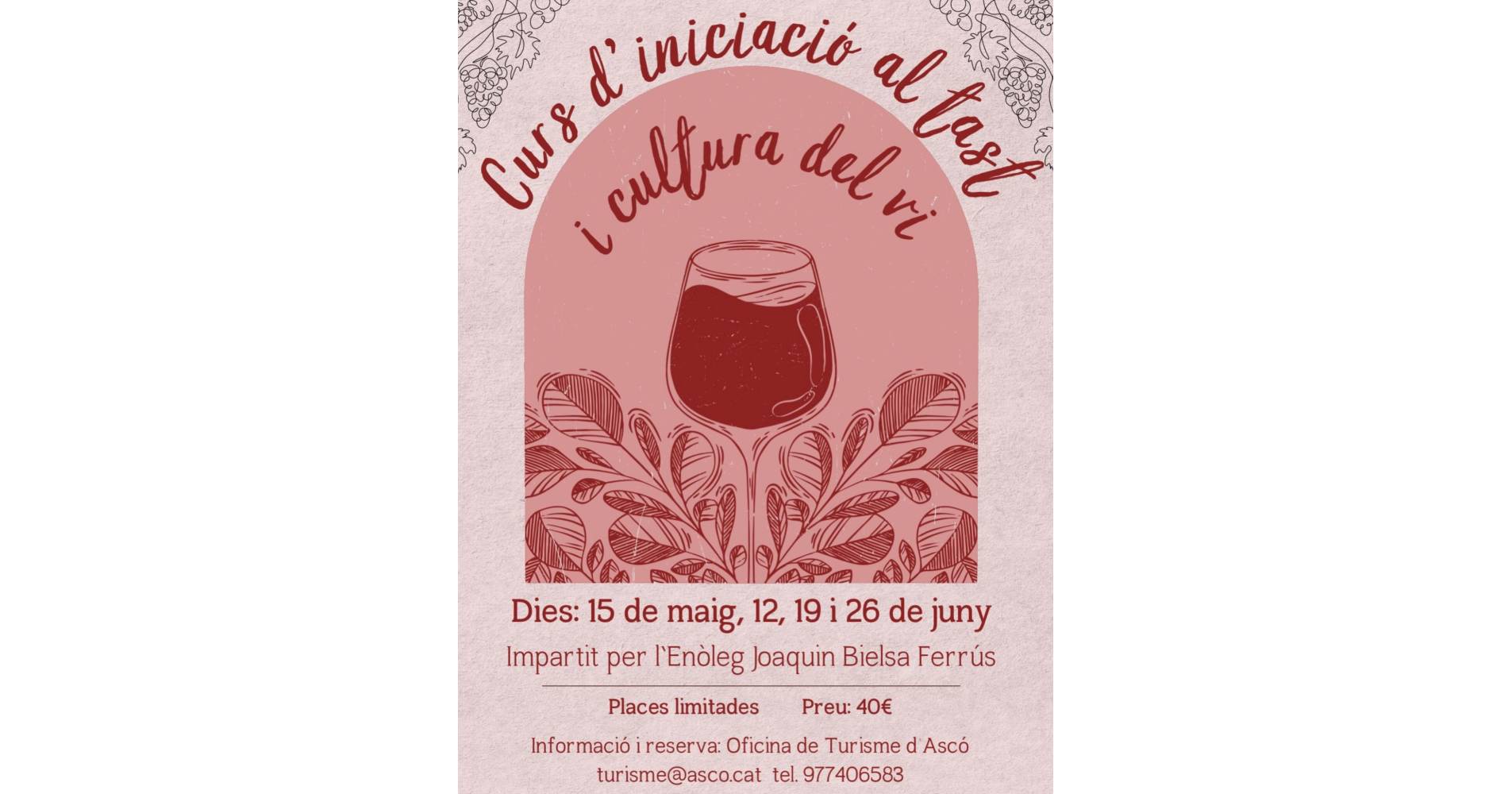 Curs d�inciaci� al tast i cultura del vi