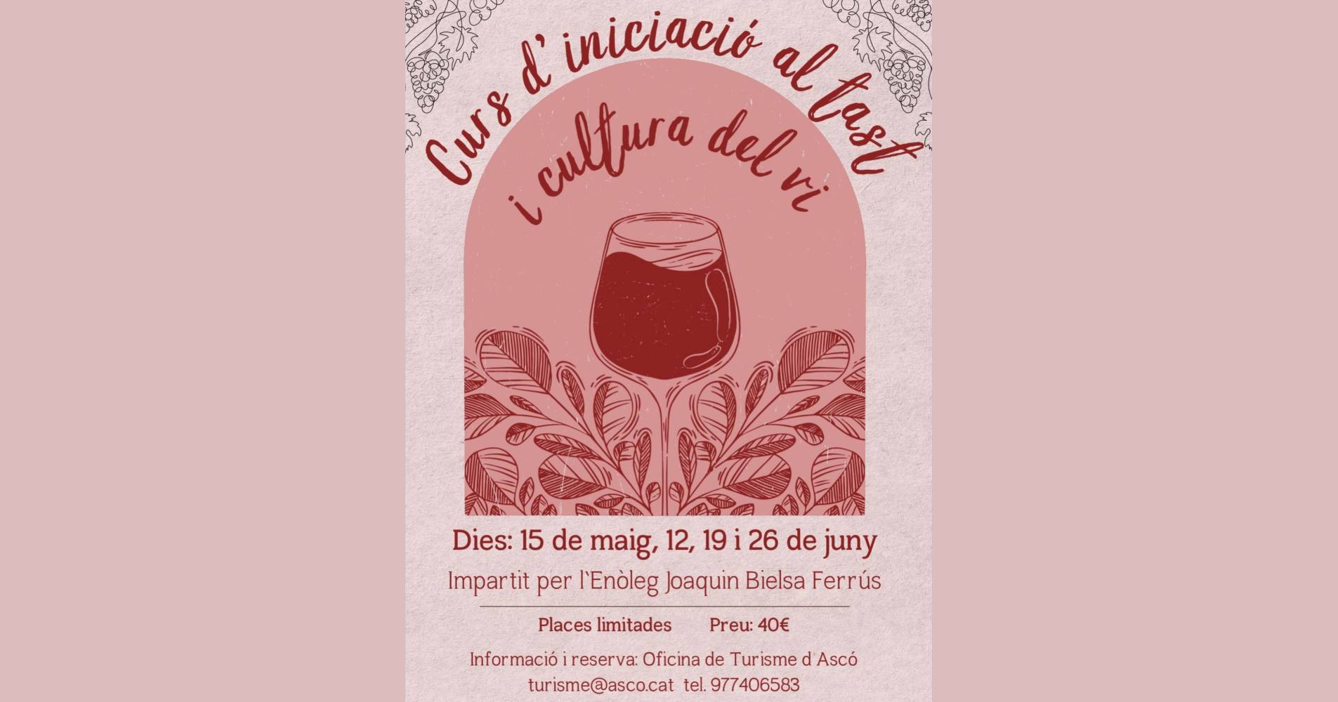 Curs d�inciaci� al tast i cultura del vi