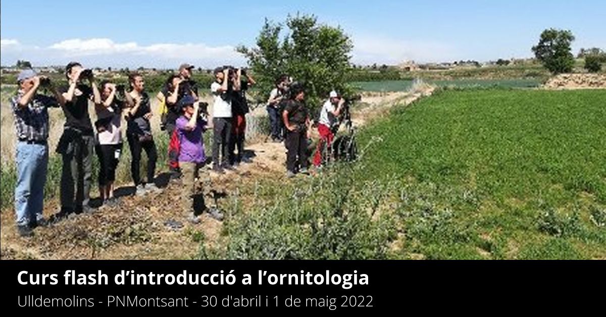 Curso flash de introducci�n a la ornitolog�a