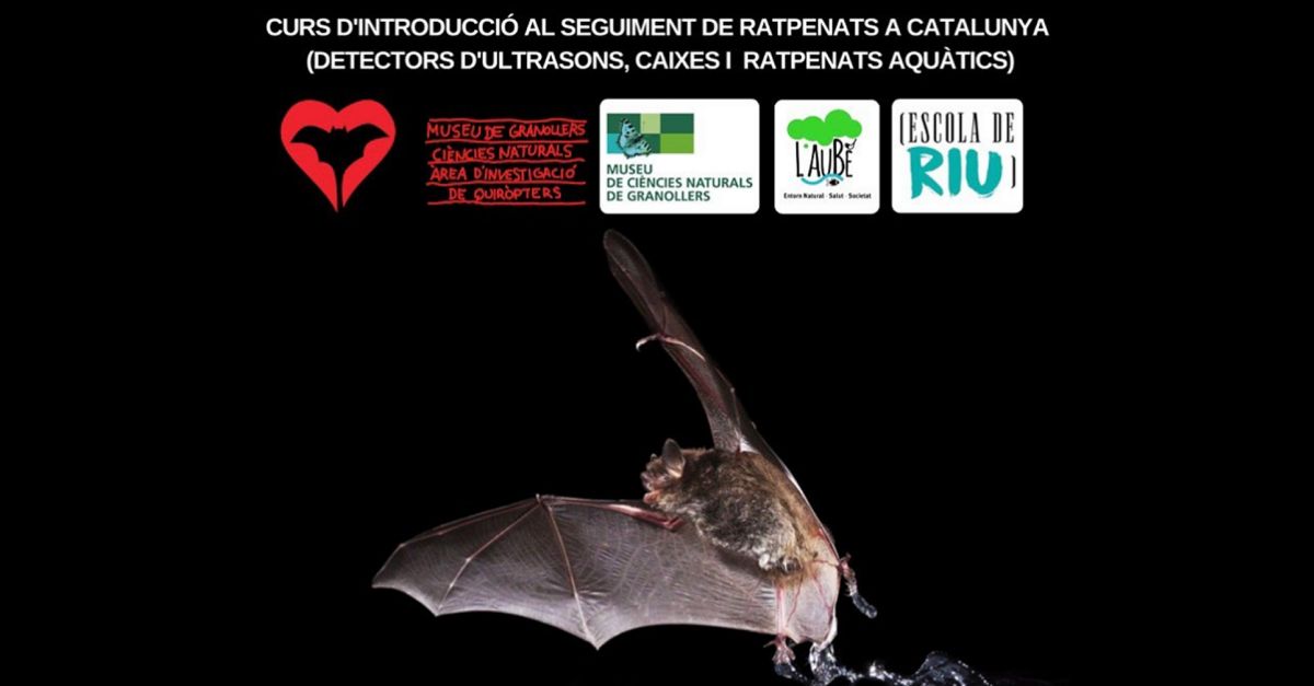 Curs d’introducció al seguiment de ratpenats a Catalunya Curs d’introducció al seguiment de ratpenats a Catalunya