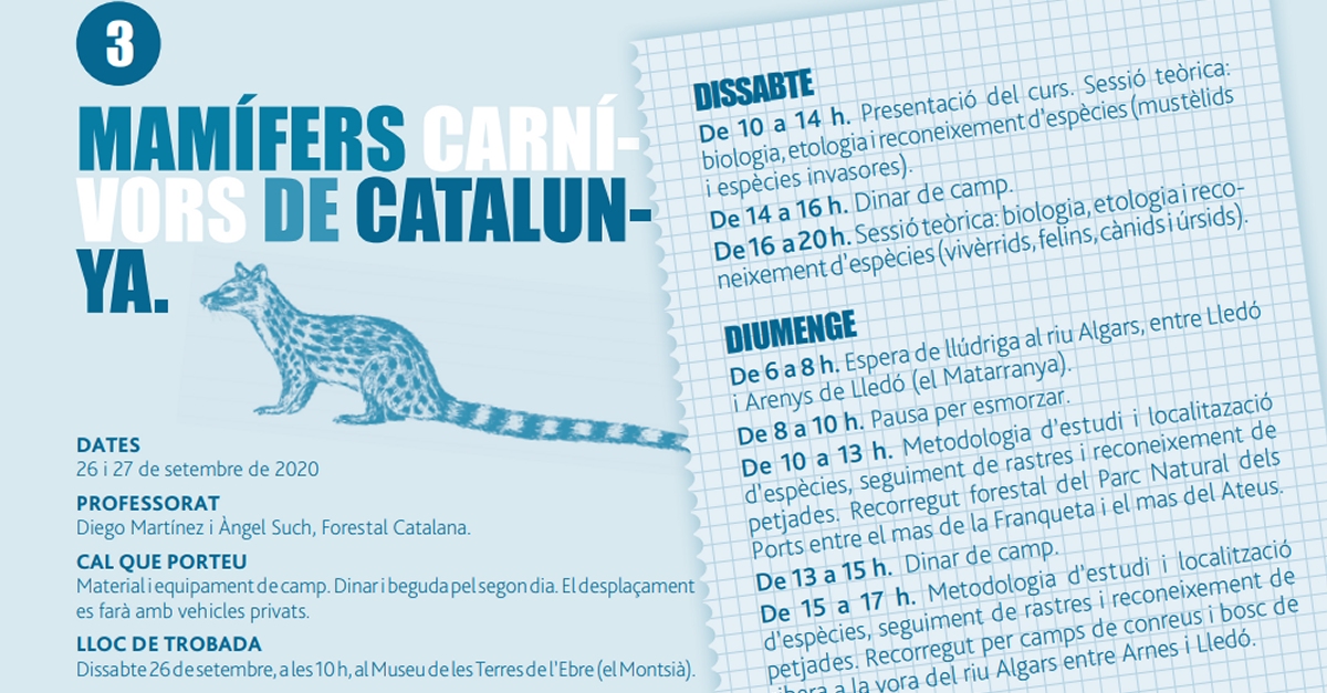 Curs: Mam�fers carn�vors de Catalunya