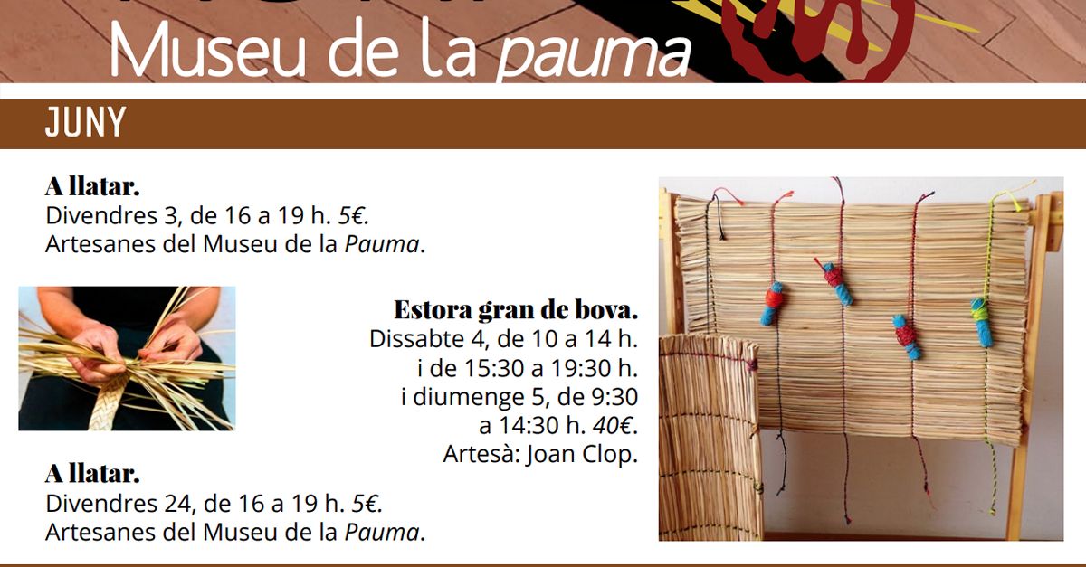Cursos del Museu de la Pauma: Alfombra grande de boga Cursos del Museu de la Pauma: Alfombra grande de boga
