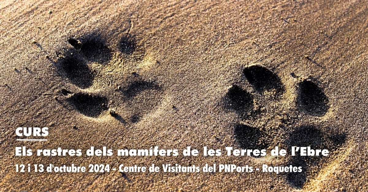 Curs: Els rastres dels mamífers de les Terres de l’Ebre Curs: Els rastres dels mamífers de les Terres de l’Ebre